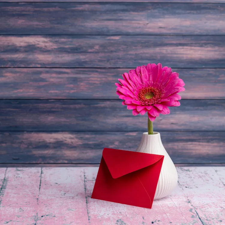 Cultural Impact of the Unsent Projects